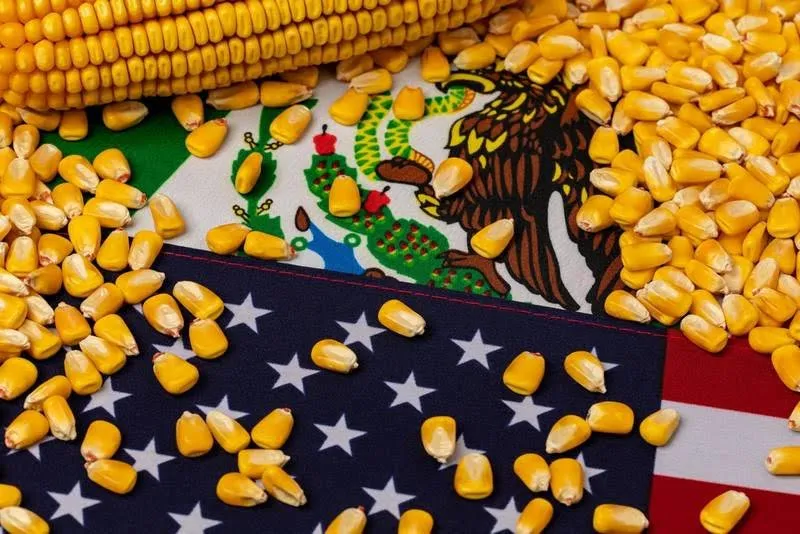 México en peligro: Importación de granos alcanza récord histórico México en peligro: Importación de granos alcanza récord histórico