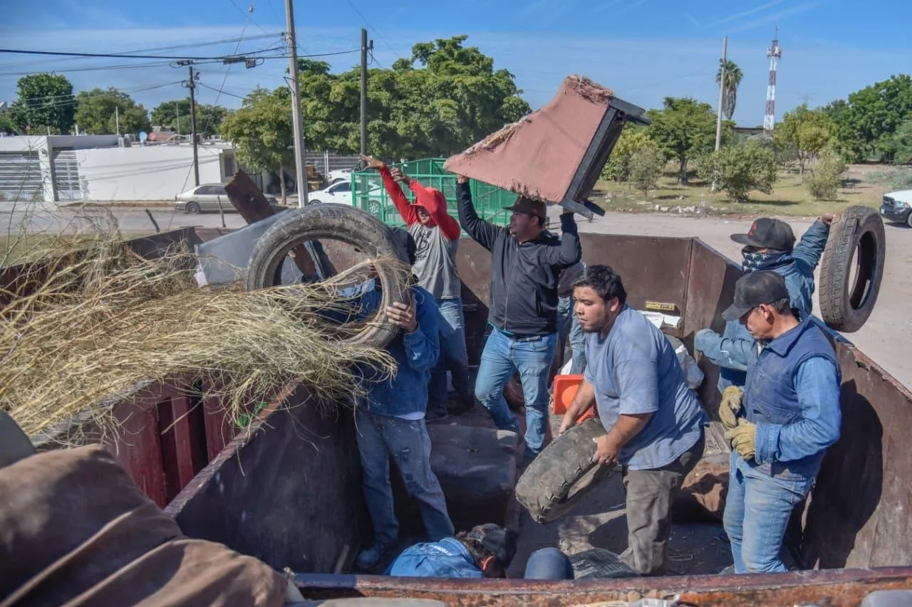 Salud Municipal intensifica eliminación de criaderos y fumigación en colonias de Ahome. Salud Municipal intensifica eliminación de criaderos y fumigación en colonias de Ahome.