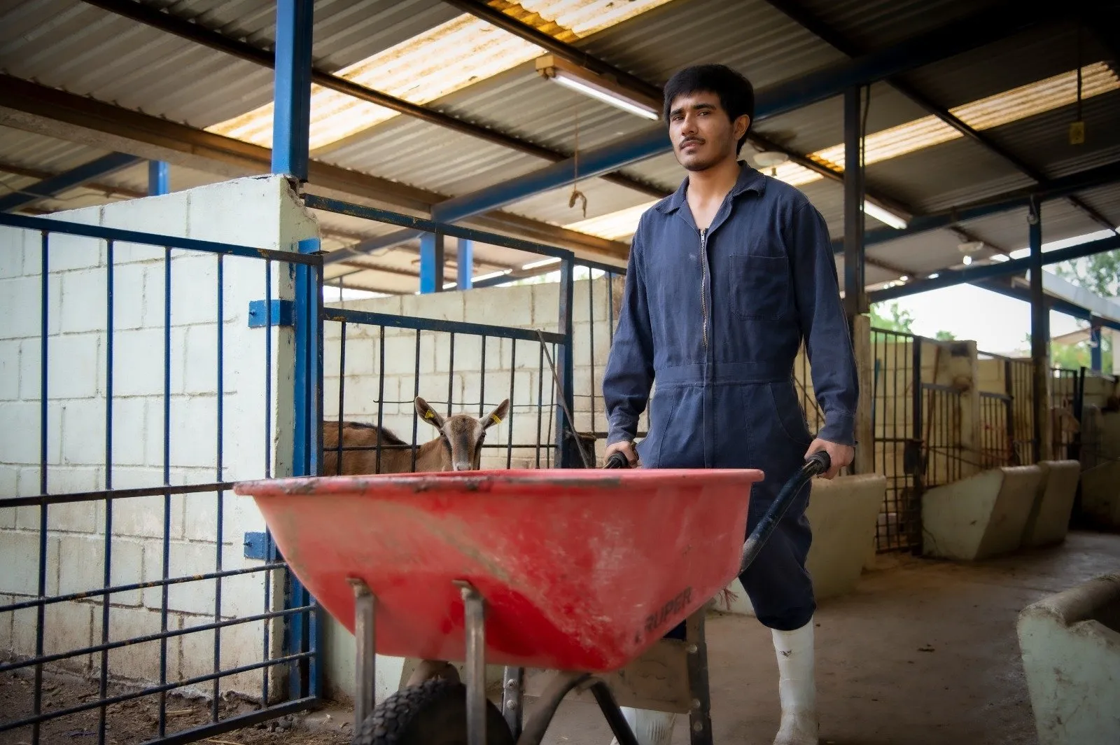 La Facultad de Medicina Veterinaria y Zootecnia de la UAS, más de cuatro décadas de excelencia y liderazgo regional en la formación de profesionales La Facultad de Medicina Veterinaria y Zootecnia de la UAS, más de cuatro décadas de excelencia y liderazgo regional en la formación de profesionales