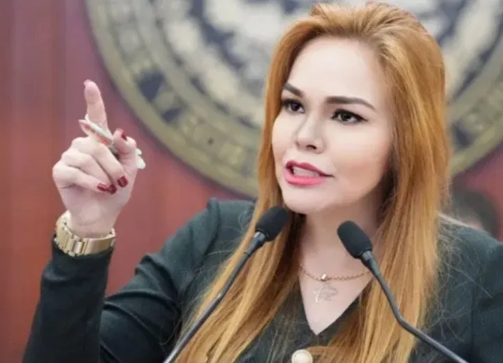 “Paola Gárate debe contar con seguridad por ser crítica y denunciar corrupción en Sinaloa” : López Félix “Paola Gárate debe contar con seguridad por ser crítica y denunciar corrupción en Sinaloa” : López Félix
