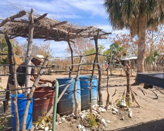 Choix y El Fuerte, los municipios del norte e Sinaloa más golpeados por la sequía Choix y El Fuerte, los municipios del norte e Sinaloa más golpeados por la sequía