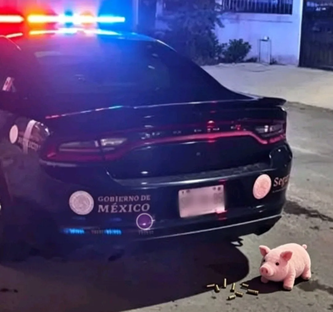 Vuelve el asesino del puerquito: Ejecutan a un hombre de 62 años en Bella Vista y le dejan el peluche rosa Vuelve el asesino del puerquito: Ejecutan a un hombre de 62 años en Bella Vista y le dejan el peluche rosa