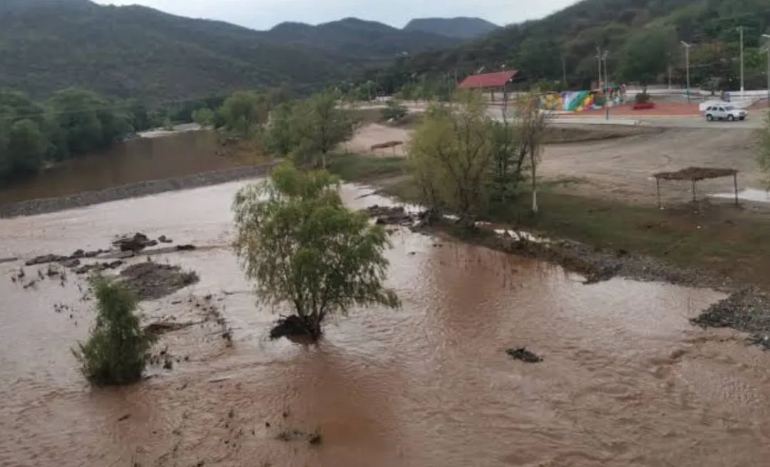Choix respira: Primeras lluvias de 6.3 mm devuelve el verde y dan aire a la Miguel Hidalgo Choix respira: Primeras lluvias de 6.3 mm devuelve el verde y dan aire a la Miguel Hidalgo