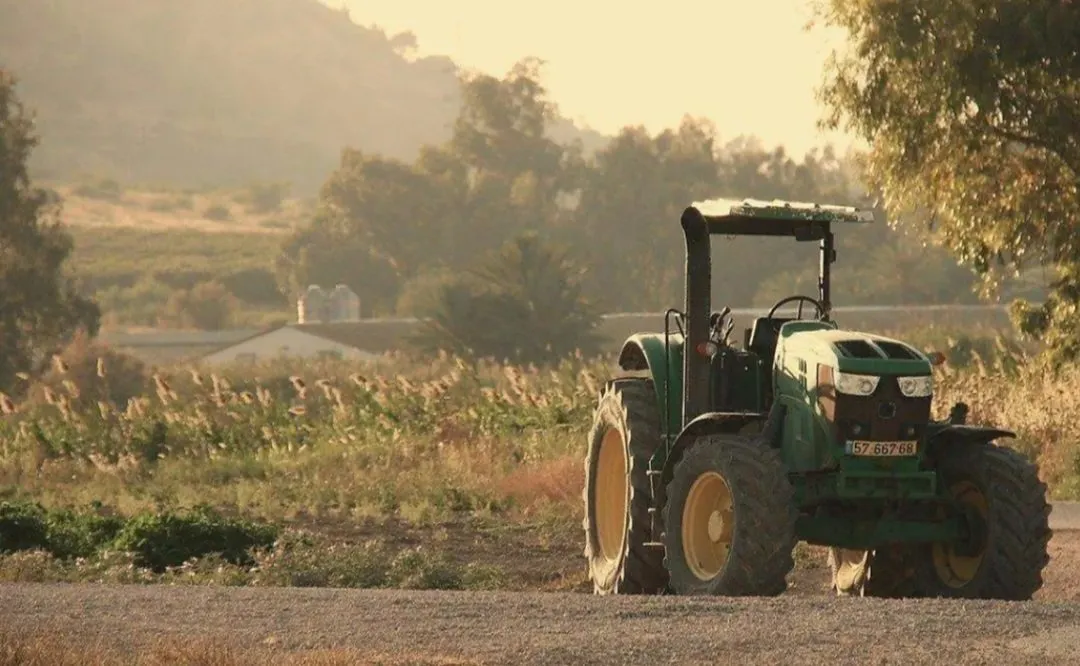El campo bajo fuego: Agricultura y pesca, las víctimas olvidadas de la violencia en Sinaloa El campo bajo fuego: Agricultura y pesca, las víctimas olvidadas de la violencia en Sinaloa