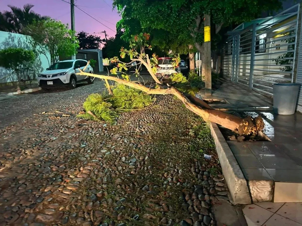 Saldo blanco tras fuertes vientos y lluvias en Culiacán: Protección Civil atiende 10 emergencias Saldo blanco tras fuertes vientos y lluvias en Culiacán: Protección Civil atiende 10 emergencias