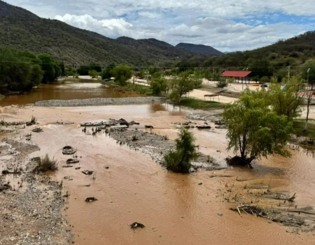 Las recientes lluvias traen respiro al norte de Sinaloa y renacen esperanzas contra la sequía Las recientes lluvias traen respiro al norte de Sinaloa y renacen esperanzas contra la sequía
