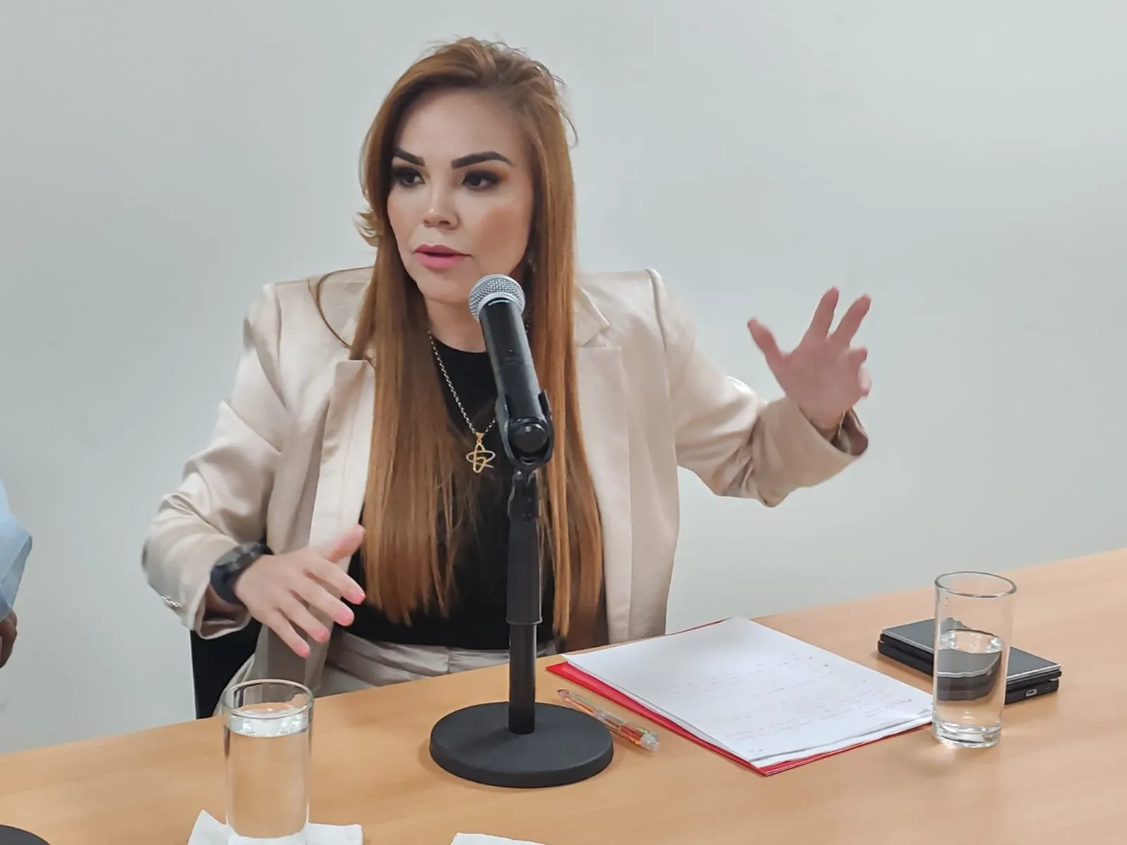 Propondrá Paola Gárate sancionar por ley las precampañas anticipadas disfrazadas de “coordinaciones” Propondrá Paola Gárate sancionar por ley las precampañas anticipadas disfrazadas de “coordinaciones”