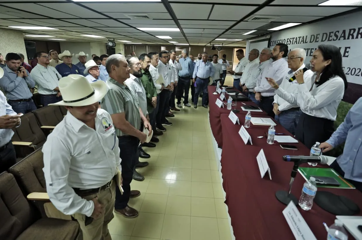 Acuerdan en el Consejo Estatal de Desarrollo Rural Sustentable de Sinaloa un proyecto de siembra para ciclo Otoño-Invierno 2026-2027 de 813 mil 599 has Acuerdan en el Consejo Estatal de Desarrollo Rural Sustentable de Sinaloa un proyecto de siembra para ciclo Otoño-Invierno 2026-2027 de 813 mil 599 has