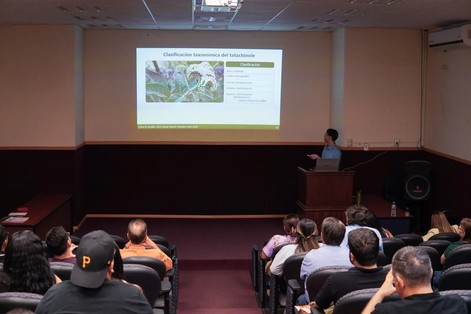 Busca estudiante en Ciencia y Tecnología de Alimentos de la UAS validar científicamente el uso del tatachinole para tratar los cálculos renales Busca estudiante en Ciencia y Tecnología de Alimentos de la UAS validar científicamente el uso del tatachinole para tratar los cálculos renales