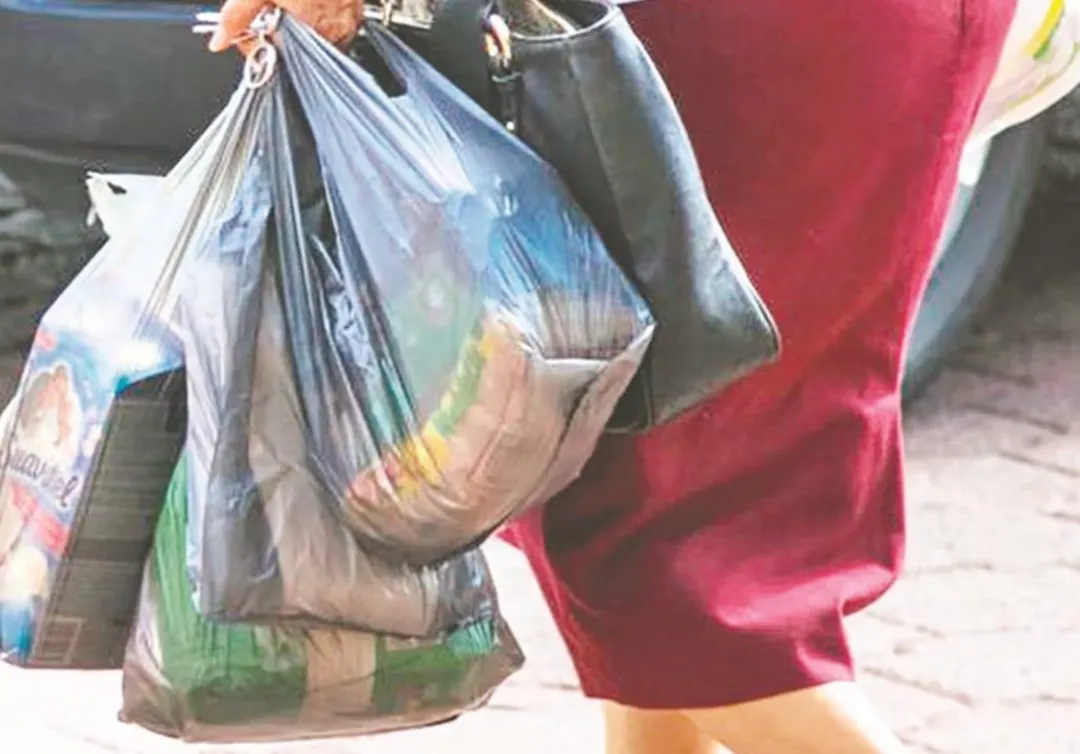 La gran farsa de las bolsas: ¿ecología o negocio redondo? La gran farsa de las bolsas: ¿ecología o negocio redondo?