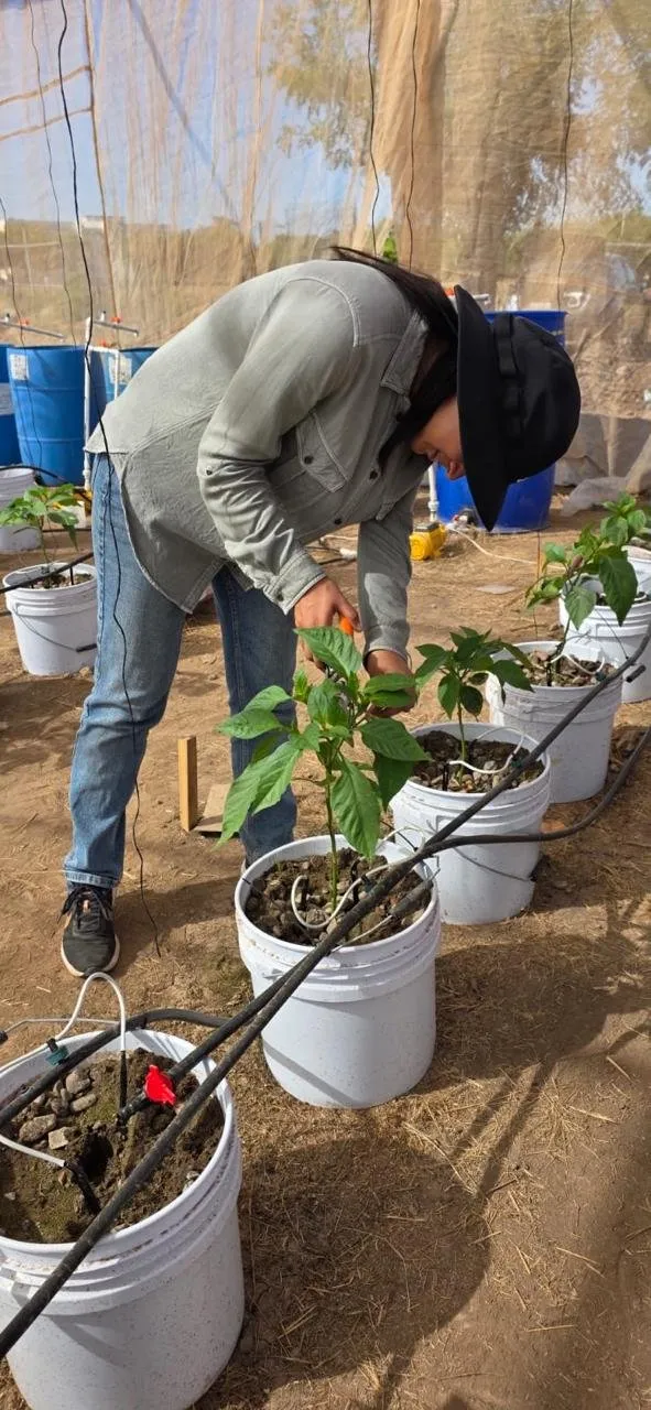 Con una estancia internacional en Argentina, estudiante de la UAS fortalece metodologías para su investigación en agricultura de precisión Con una estancia internacional en Argentina, estudiante de la UAS fortalece metodologías para su investigación en agricultura de precisión