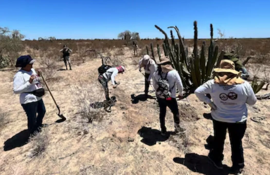 Madres buscadoras: las que escarban la tierra que el gobierno no quiere pisar Madres buscadoras: las que escarban la tierra que el gobierno no quiere pisar