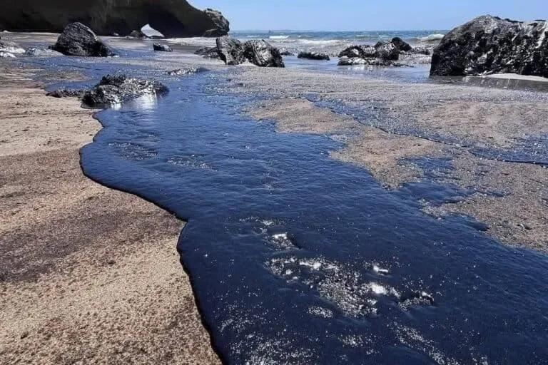 Alerta ambiental en el sureste: Pemex acumula tres derrames consecutivos de hidrocarburos en menos de una semana en costas y campos petroleros Alerta ambiental en el sureste: Pemex acumula tres derrames consecutivos de hidrocarburos en menos de una semana en costas y campos petroleros