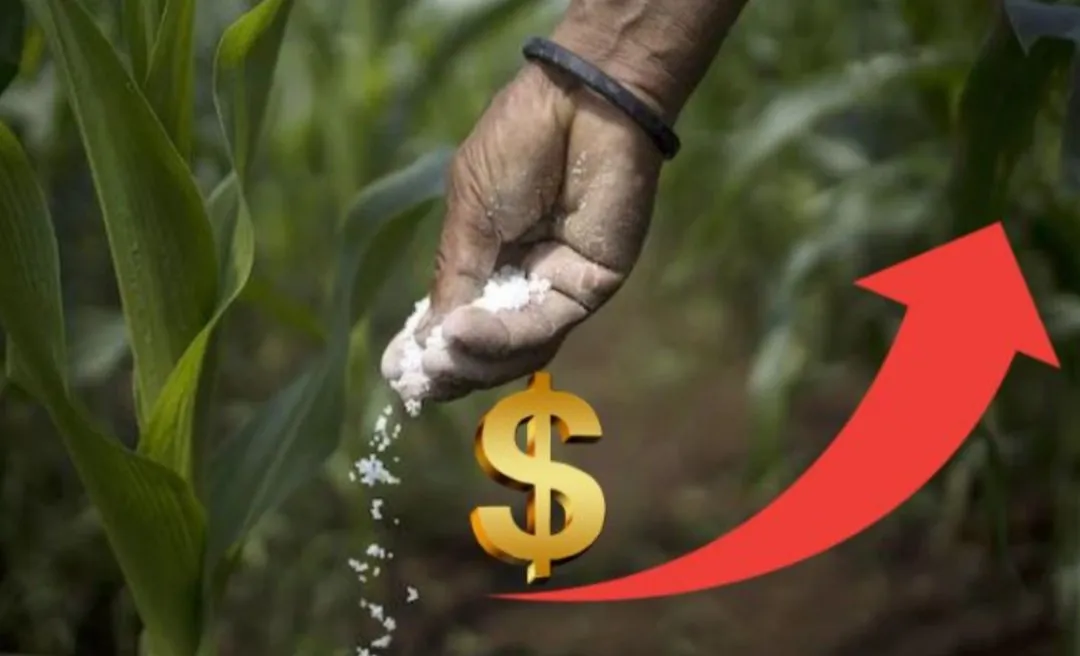Ciclo otoño- invierno arranca con fertilizantes por las nubes en Sinaloa Ciclo otoño- invierno arranca con fertilizantes por las nubes en Sinaloa